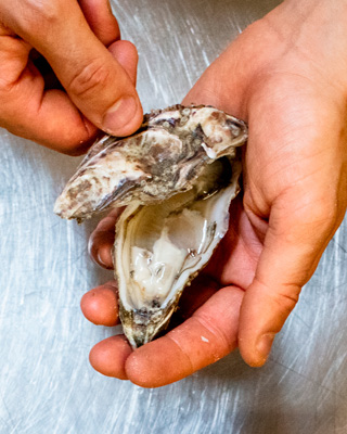 Ostriche Ristorante Pesce Vicenza Longa di Schiavon La Veneziana